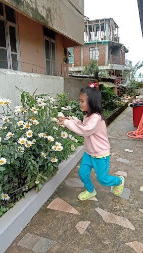 Angel Guest House Shillong Side Image 1